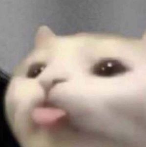 Meet your Posher, Lili